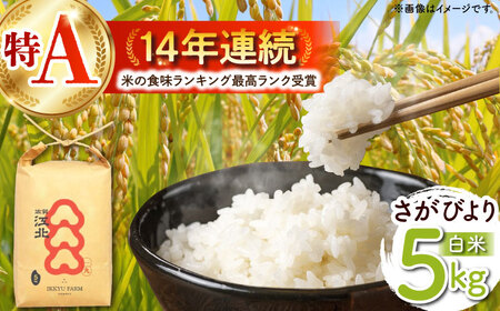 [ご飯でご飯が食べられる!]さがびより 白米 5kg(一等米)[一九FARM]