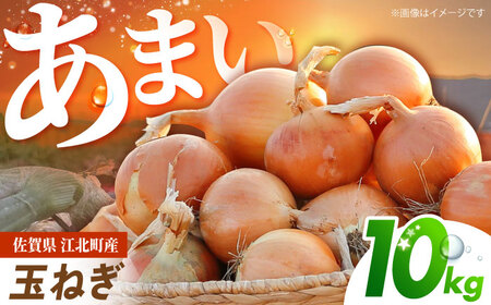 ys\z ʂ˂ 10kg ygˁz[HDG004]