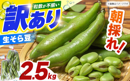 ŷz 󂠂 瓤 2.5kg yɂ܃t@[z V t 瓤[HDI002]
