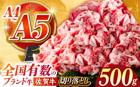 [2025年10月発送]佐賀牛 切り落とし 500g 