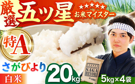 y11zт  20kgi5kg×4܁jy܂ă}CX^[IzA A][HBL078]      