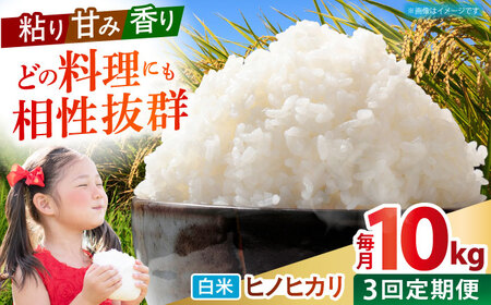[全3回定期便] ヒノヒカリ 白米 10kg [有限会社江北商会]