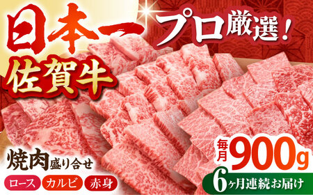 [全6回定期便]佐賀牛 味付け カルビー(500g) [HAA042] 黒毛和牛 カルビ 肉 カルビ 焼肉 かるび 定期便