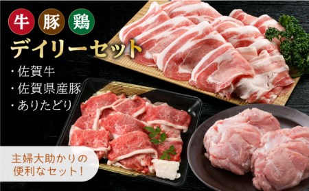 [おうちごはんを応援]三栄のデイリーセット[牛 豚 鶏][肉の三栄][HAA059]黒毛和牛 牛肉 豚肉 鶏肉 佐賀牛 切り落とし 豚 ありたどり