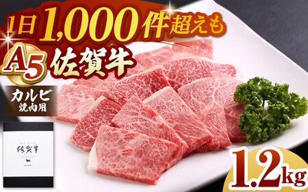 ꋍ A5 Jrēp 400g×3pbN HAD055 BBQ o[xL[ Lv AEghA Jr