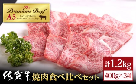 [A5ランクをお届け]佐賀牛 焼肉 食べ比べセット1.2kg(400g×3)[山下牛舎] [HAD059] 黒毛和牛 牛肉 肉 BBQ ロース カルビ 赤身 モモ たべくらべ 食べくらべ 盛り合わせ