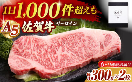 yS6ցzꋍ A5 T[CXe[Li300g×2j HAD067 Xe[L