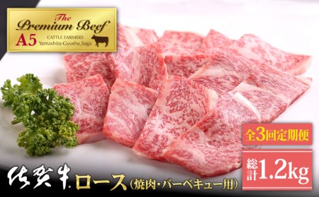 [全3回定期便]佐賀牛 A5 ロース 400g(焼肉用)[山下牛舎] [HAD093] 黒毛和牛 牛肉 焼肉 BBQ バーベキュー 霜降り 定期便 定期 肉