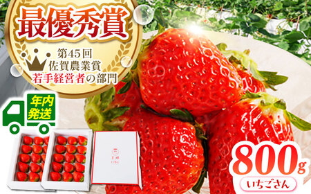 [12月発送]王様のいちごいちごさん400g×2箱むらおか農園 HAF001 いちごいちごいちごいちごいちご
