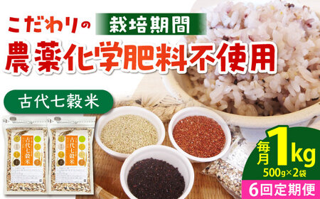 [全6回定期便]古代七穀米(500g×2個セット) [HAG009] 雑穀米 古代米 雑穀米 雑穀米 雑穀米 雑穀米