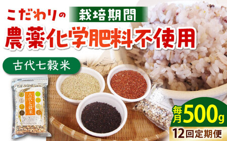 yS12ցzÑ㎵500g HAG014  G 