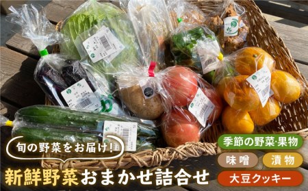 [旬の野菜をお届け]新鮮野菜・加工品 おまかせ詰め合わせ[だいちの家][HAG015]野菜 フルーツ 漬物