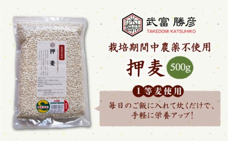 [栽培期間中農薬不使用]押麦 500g[1等麦使用]江北町産 サチホゴールデン[葦農]特別栽培農産物 麦