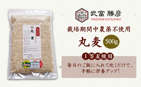 [栽培期間中農薬不使用]丸麦 500g[1等麦使用]江北町産 サチホゴールデン[葦農]特別栽培農産物 麦