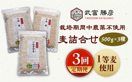 [全3回定期便]麦詰合500g×3(押麦・胚芽押麦・丸麦)[葦農][HAJ031]特別栽培農産物 麦