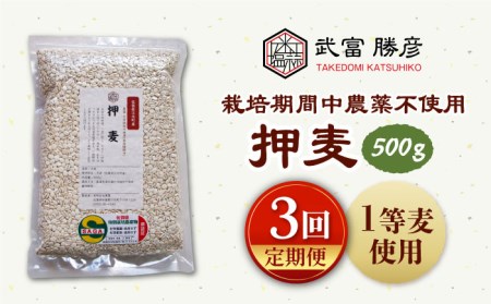 [全3回定期便]押麦500g(1等麦使用)[葦農][HAJ037]特別栽培農産物 麦