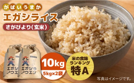 令和5年産 新米 がばいうまかエガシライス(さがびより)玄米 10kg(5kg×2袋)[江頭農園]特A 特A評価特A 特A評価 玄米 さがびより 米 玄米 さがびより 米 玄米 さがびより 米 玄米 さがびより 米 玄米 さがびより 米 玄米 さがびより 米 玄米 さがびより 米 玄米 さがびより 米 玄米 さがびより 米