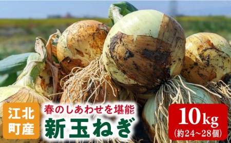 [先行予約][こうふく玉でハッピーをお届け]佐賀県江北町産 新玉ねぎ 10kg[こうふく農園] [HBA002]たまねぎ 新たまねぎ 早生 野菜 春野菜