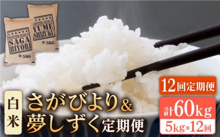 [全12回定期便]さがびより 夢しずく 白米 5kg [HBL032] 白米 白米 白米 白米 白米 白米