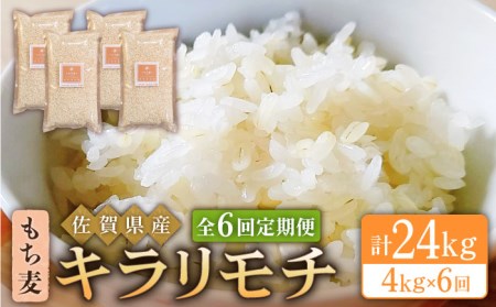 yS6ցz L` 4kgi1kg×4܁jy˕čXz [HBL040]