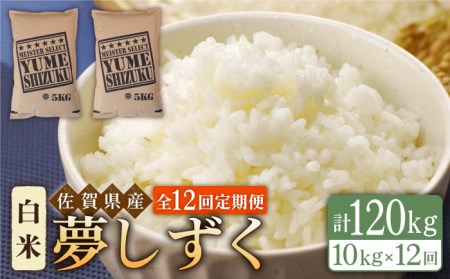 ふるさと納税 徳島県 海陽町 【定期便年１２回】海部水明米５kg×１２回