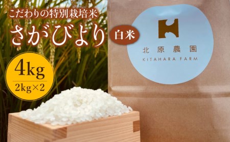 [こだわりの特別栽培米]令和5年産 新米 白米 さがびより 4kg[北原農園]特A米 特A評価
