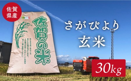 [特別栽培米]令和5年産 ももちゃんちのお米 さがびより 玄米 30kg[ももさき農産]特A米 特A評価 米 佐賀 米 玄米 米 玄米 