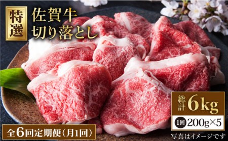 yS6ցzꋍ ؂藎Ƃ200g×5pbN HAA081 ؂藎Ƃ Y a 