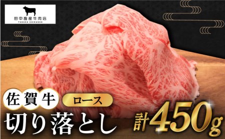 佐賀牛 ロース切り落とし450g HBH064 肉肉肉肉肉肉
