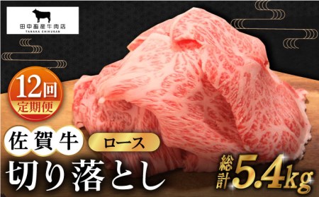 [全12回定期便]佐賀牛 ロース切り落とし450g HBH068 佐賀牛佐賀牛佐賀牛佐賀牛佐賀牛佐賀牛佐賀牛