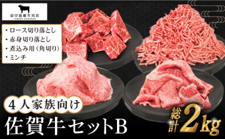 [毎日の料理に]4人家族向け 佐賀牛 普段使いセットB[田中畜産牛肉店]農林水産大臣賞 ロース 赤身 角切り 切り落とし[HBH114] 佐賀牛 牛肉 農林水産大臣賞 ロース 赤身 角切り 切り落とし 肉 赤身肉 ミンチ 煮込み用 セット お試し カレー 肉じゃが 炒め物 和牛 冷凍発送 冷凍 配送 肉 