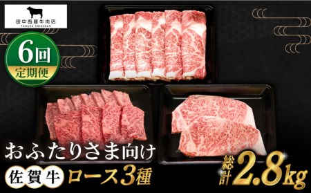 yS6ցzӂ肳܌ ꋍ[X HBH079 [X ꋍ 