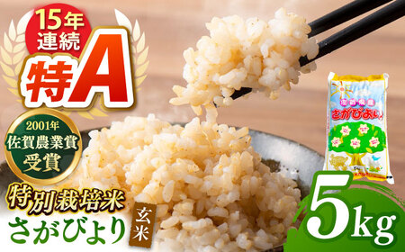 [特別栽培米]令和7年産 新米 ももちゃんちのお米 さがびより玄米 5kg [ももさき農産] [HCG004]特A米 特A評価 コメ 米