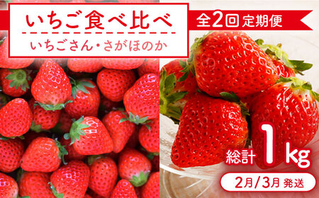 [先行予約][全2回定期便]いちご 食べ比べ定期 総計1kg(さがほのか いちごさん)[むらおか農園][HAF026]フルーツ 果物 くだもの いちご イチゴ 苺