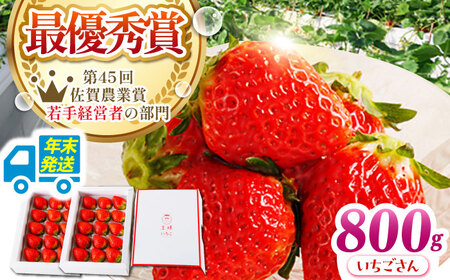 [先行予約][農薬0への挑戦][年末発送]王様のいちごいちごさん400g×2箱[むらおか農園]HAF028 いちごいちごいちごいちごいちご