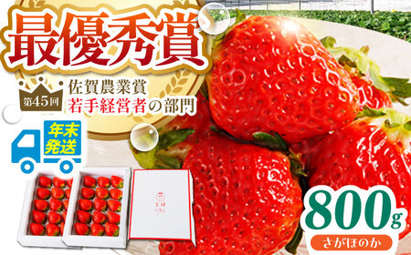 [先行予約][農薬0への挑戦][年末発送]王様のいちごさがほのか400g×2箱[むらおか農園]HAF029 いちごいちごいちごいちごいちご