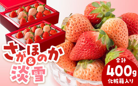 [先行予約]赤白いちご食べ比べ! 淡雪&さがほのか 計400g/ いちご イチゴ いちご 白石イチゴ いちご いちご