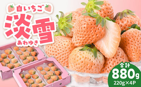 [先行予約]白いちご 希少「淡雪」880g / 白石いちご イチゴ いちご いちご 