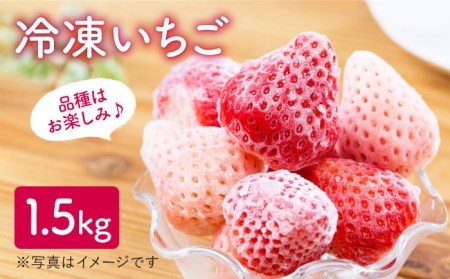 冷凍いちご苺 10kg (500g×20袋) 佐賀県 スムージー カキ氷 ジャム