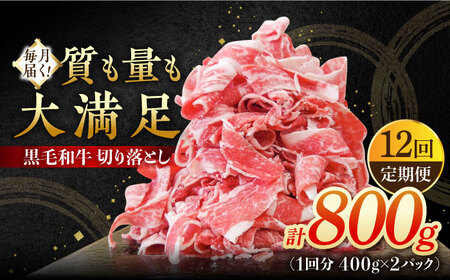y12ցz јa ؂藎Ƃ 800g / ؂藎Ƃ [IAX042]