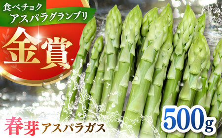 春芽アスパラガス 約500g / アスパラ 