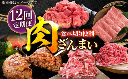 [12回定期便]肉ざんまい定期便 一人暮らし 少量/黒毛和牛 牛肉 バラエティー 定期 ハンバーグ個梱包[川?ア畜産]