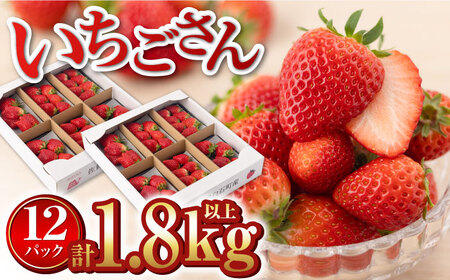 yR8N1ȍ~zuv1.8kg  /  [IAA039]