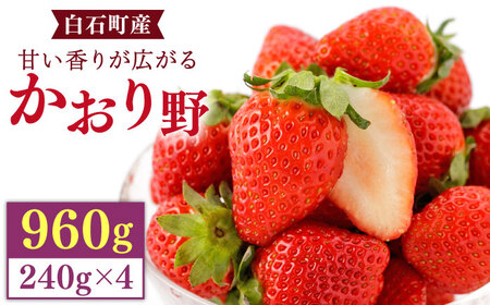 [先行予約]上品な香りの「かおり野」240g×4パック[StrawberryFarm-K]