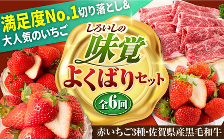 【先行予約】【全6回定期便】しろいしの味覚よくばりセット（赤いちご3種と佐賀県産黒毛和牛）[IZZ021]