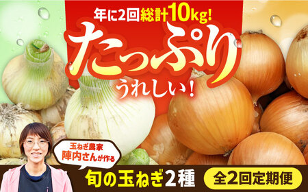 [2回定期便]農家直送 玉ねぎ定期便 5kg/回 [玉葱農家 陣内ちひろ]玉葱 たまねぎ 新玉ねぎ 晩生 早生 