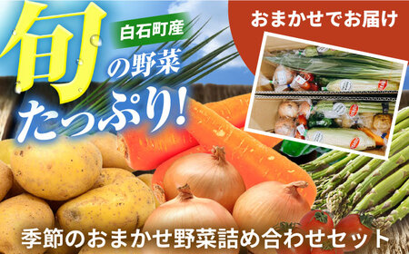 [野菜たっぷり♪]白石町産季節のおまかせ野菜詰め合わせセット / 野菜セット 野菜 野菜 野菜 野菜 