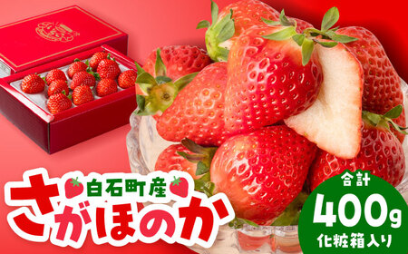 [先行予約][化粧箱入り]いちご さがほのか400g / いちご イチゴ 苺 いちご イチゴ いちご いちご 