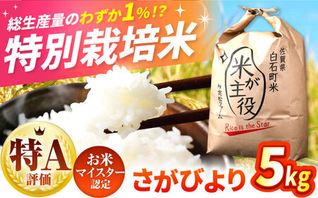 【先行予約】【令和7年度産】こだわりの特別栽培！ さがびより 5kg 【有限会社定松ファーム】[IBV001]