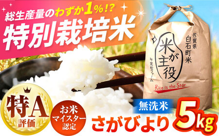 【先行予約】【令和7年度産】こだわりの特別栽培！無洗米 さがびより 5kg 【有限会社定松ファーム】[IBV002]